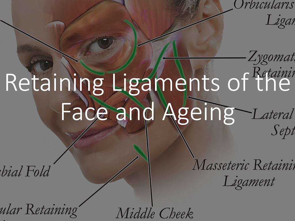 Retaining Facial Ligaments